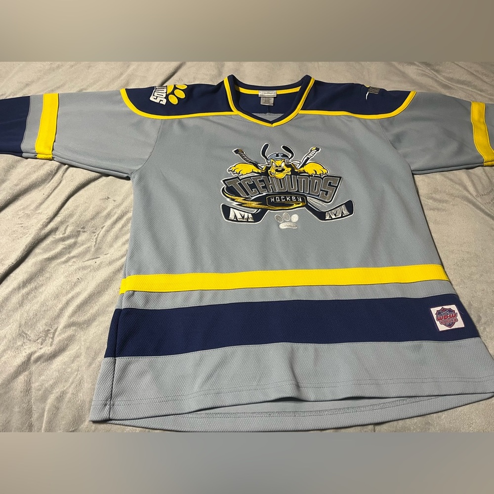 Walt disney world pluto icehounds hockey jersey size L